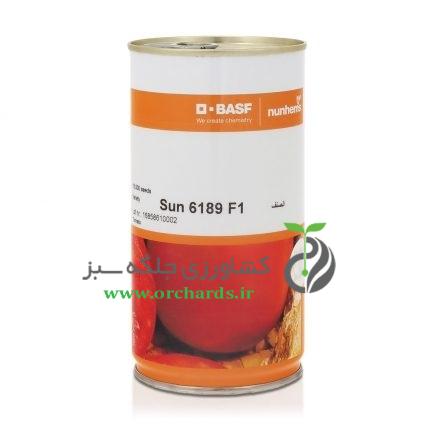 بذر گوجه سان سید6189