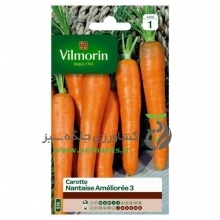بذر هویج قلمی ویلمورین vilmorin