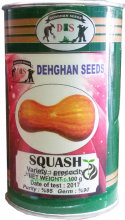 squash seed