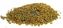 بذر شبدر ایرانی