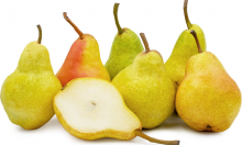 نهال گلابی شاه میوه پایه رویشی - pear seedlings