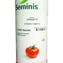 8320 hybrid tomato seed
