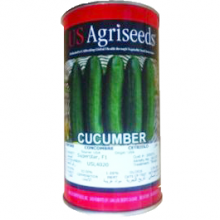 us agriseeds supersatr f1 cucumber seed