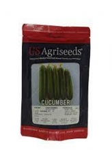 Seeds of Hybrid Cucumber Surina US Agriseeds